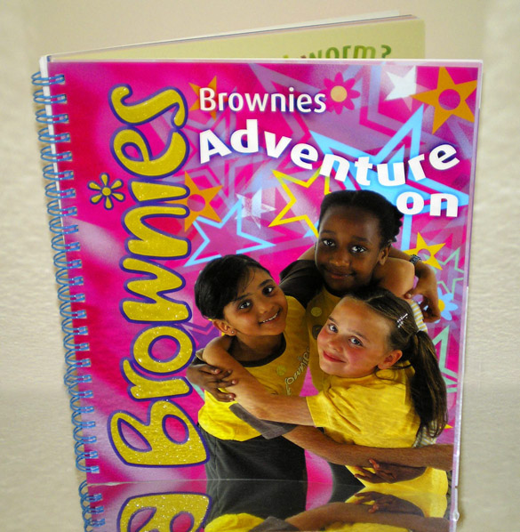 brownie adventure on